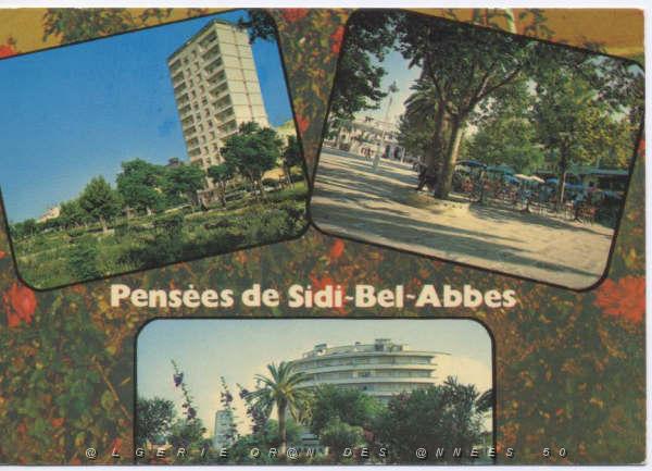 SBA CARTE POSTALE 04.jpg